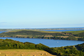 Beautiful views of the beach from the garden